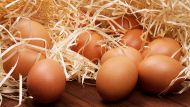 Эти яйца не дошли до потребителей и будут утилизированы или возвращены немецкому поставщику в полном объеме (около 40 000 штук) », - заявил представитель в коммюнике